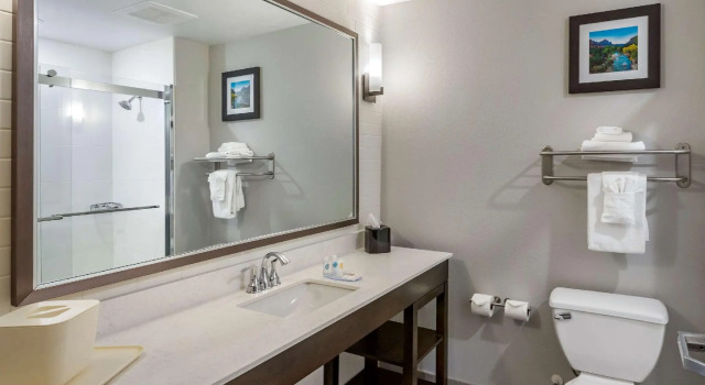 Двухместный номер Standard Comfort Inn & Suites Salt Lake City Airport