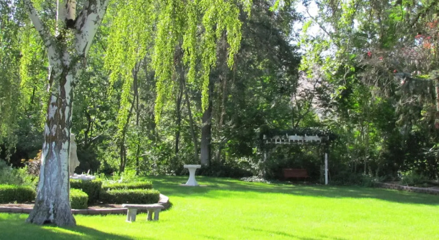 Номер Standard Warm Springs Inn & Winery