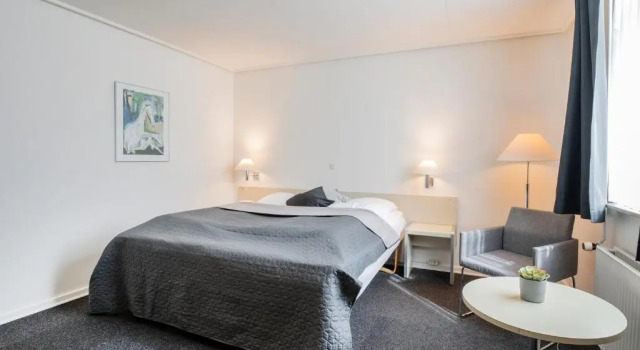 Двухместный номер Standard Hotel Norden