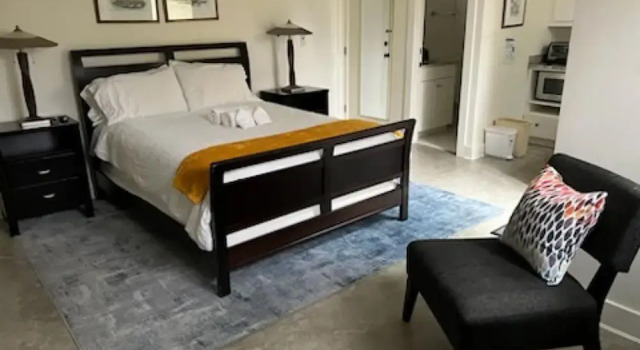 New Luxe Studio Cleveland Park Near Zoo