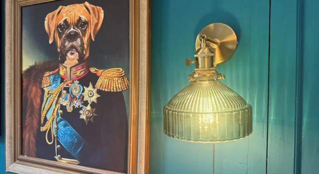 Номер Economy Dog Admiral - Urban Guest House