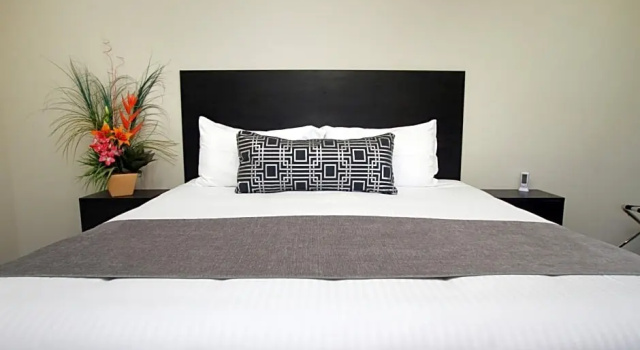 Двухместный номер Standard Цокольный этаж Twofold Bay Motor Inn