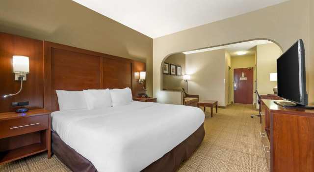 Двухместный люкс Comfort Suites Castle Rock - Denver South