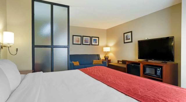 Двухместный люкс Comfort Suites Fultondale I-65 near I-22