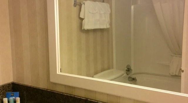 Двухместный номер Standard Quality Inn & Conference Centre