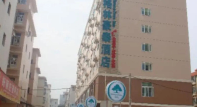 Одноместный номер Standard GreenTree Inn NanNing LangDong Hotel