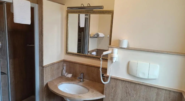Номер Business Hotel Lemi