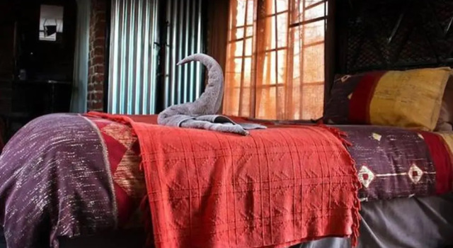 Standard double chambre Roys Rest Camp