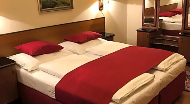 Номер Deluxe Hotel Continental