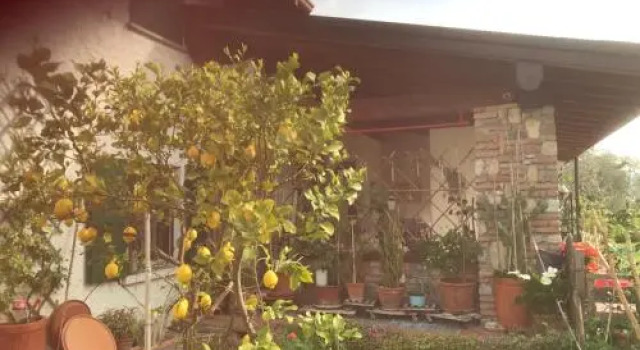 Una Casa tra gli Olivi