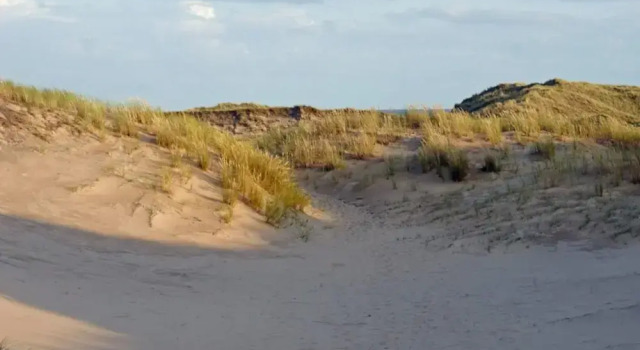 Коттедж 4 person holiday home in Skagen-By Traum