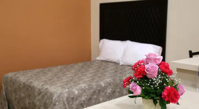 Полулюкс Hotel Plaza Bernal