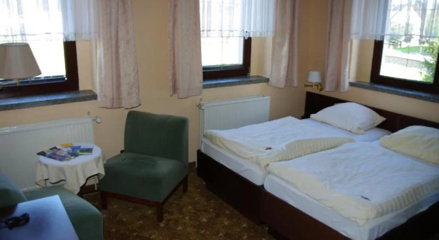 Двухместный номер Standard Landhotel Goldener Löwe