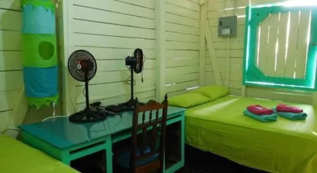 Leyca's House