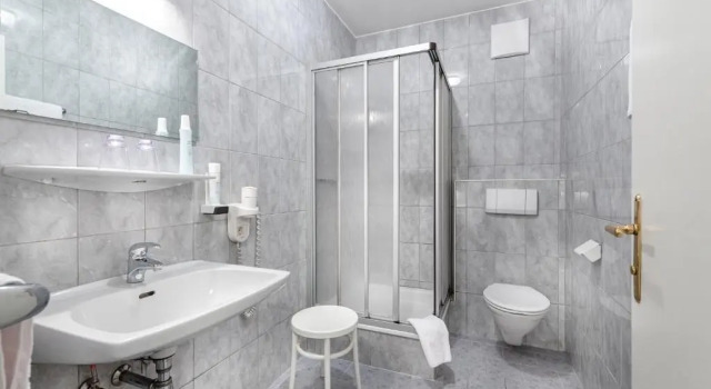 Трёхместный номер Standard Hotel Goethehof