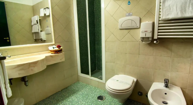 Økonomi- dobbelt værelse Hotel degli Amici