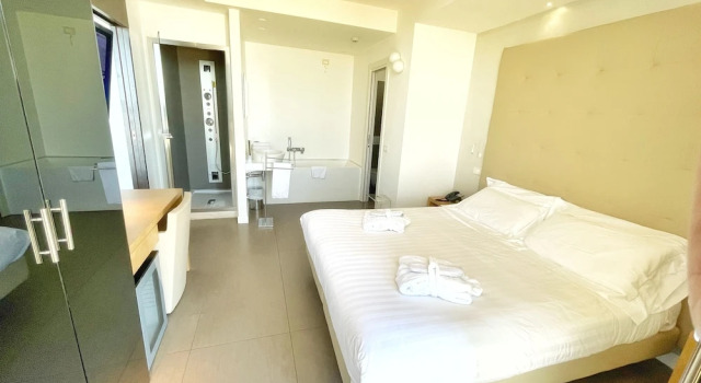 Полулюкс Hotel Arlecchino