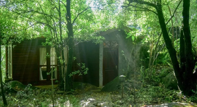 Шале Sinharaja Rest