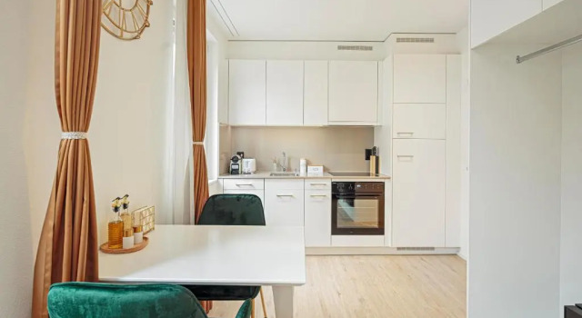 Двухместная студия Deluxe VISIMO Apartments Mühlensteg St Gallen - Elegant Quiet Central