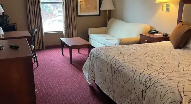 Двухместный номер Standard Mineral Palace Hotel & Gaming