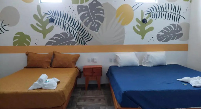 Двухместный номер Standard Hotel Axolotl