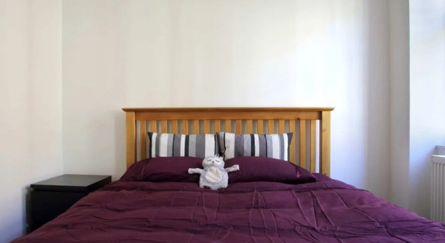 Central Apartment for the Fringe