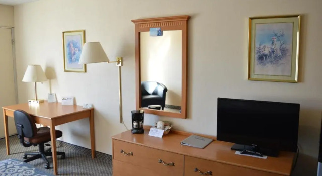 Номер Standard Hot Springs Hotel & Spa