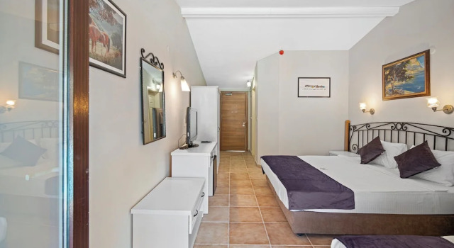 Номер Deluxe с балконом и с видом на бассейн Alados Otel