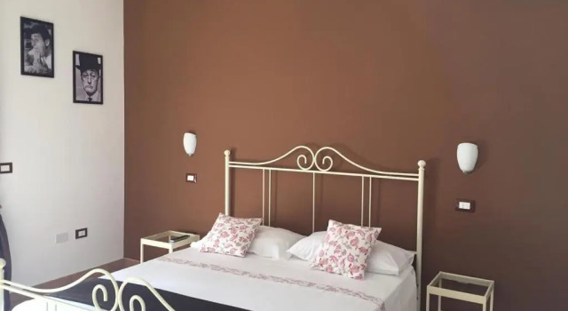 B&B Zahir