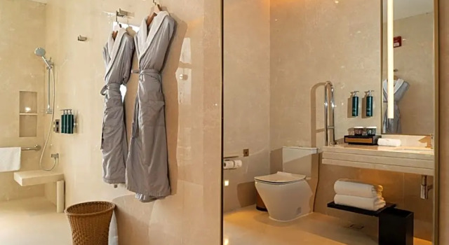 Двухместный номер Accessible Hilton Lanzhou City Center