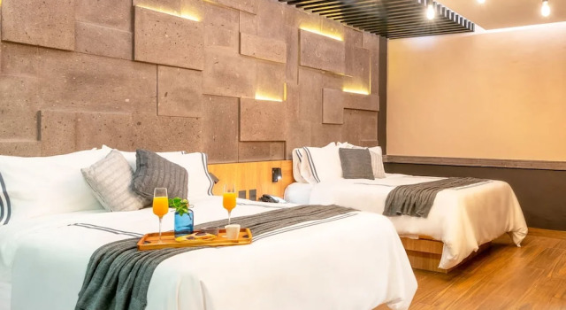 Двухместный номер Deluxe Hotel Patio Santiago