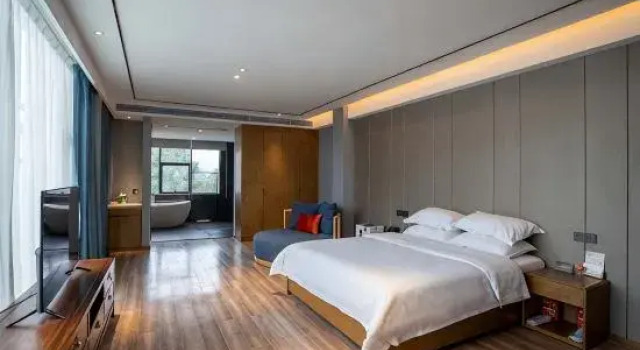 Двухместный люкс Joyeux Hotel