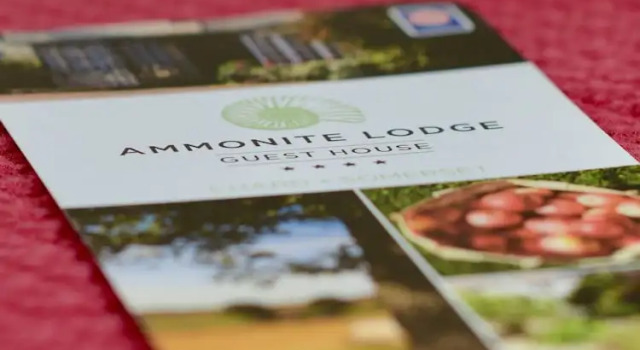 Номер Standard Ammonite Lodge