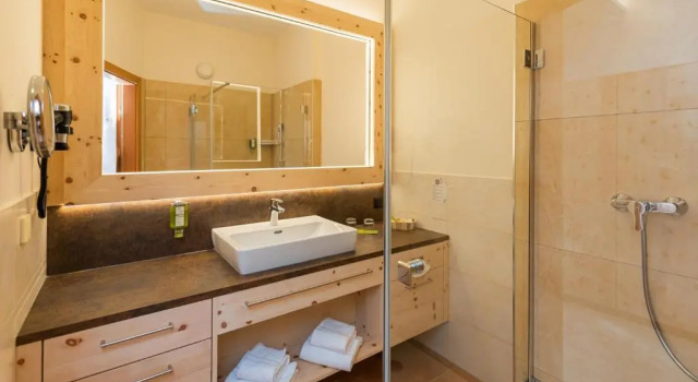 Двухместный номер Standard с видом на бассейн Thermenhotel PuchasPLUS Stegersbach