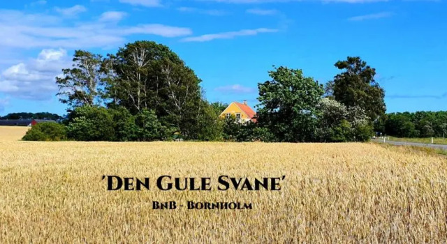 Номер Standard The FIG Studio - Boutique Guest House - near Rønne & Beach