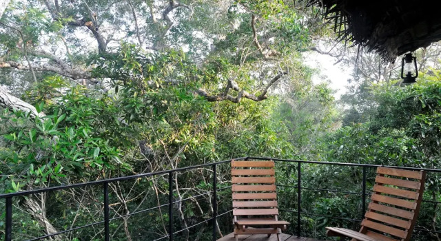 Номер Superior The Backwaters Lodge