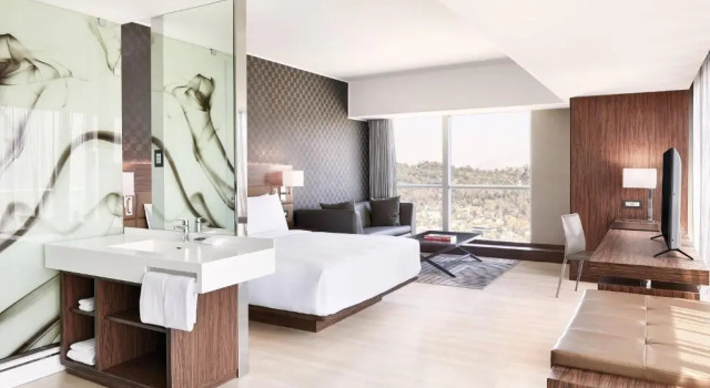 Двухместный номер Standard AC Hotel by Marriott Santiago Cenco Costanera