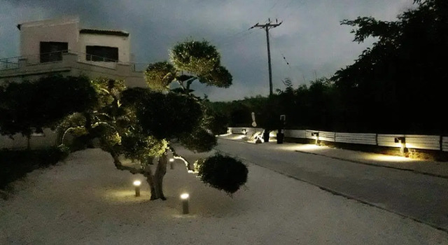 Студия 3 Olive Trees