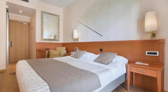 Двухместный номер Economy Hotel Torino Wellness & Spa