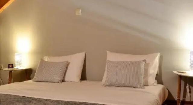 Historic Center Nest for 3