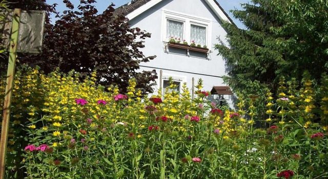 Allmendgasse Vogtsburg im Kaiserstuhl, Réserver Hôtel Vogtsburg im Kaiserstuhl Brisgau