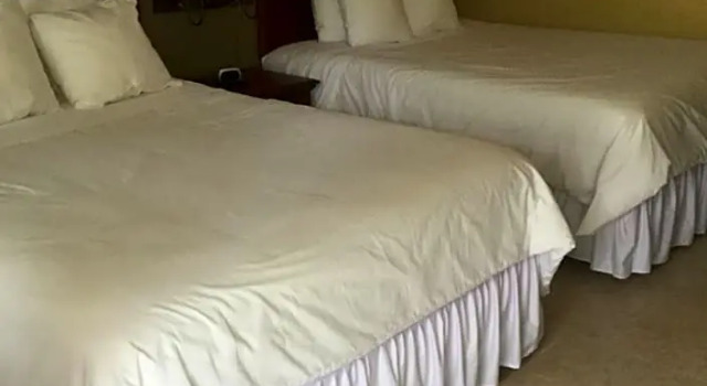Deluxe værelse Murphy Motel