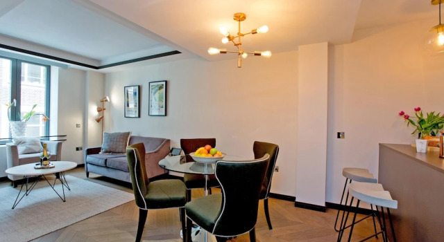 Apartament 1-bed Executive Apt 310