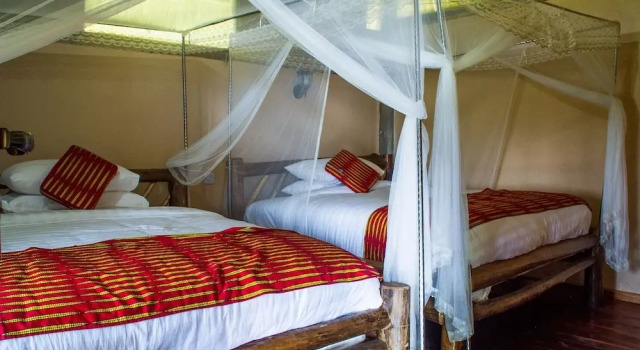 Трёхместный номер Standard Elephant HAB Lodge