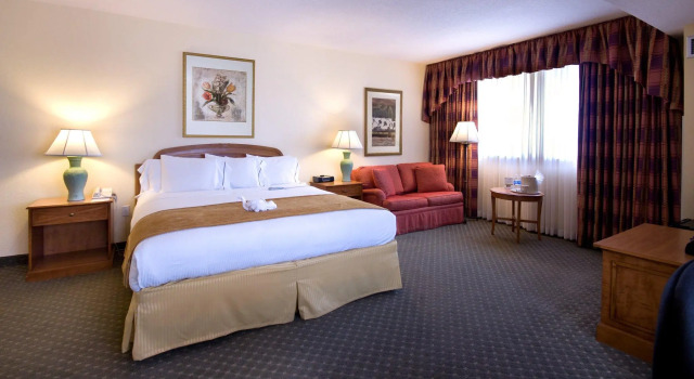 Номер Standard Holiday Inn Orlando International Dr-ICON by IHG