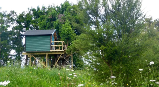 Шале Tui Ridge Eco Cabins
