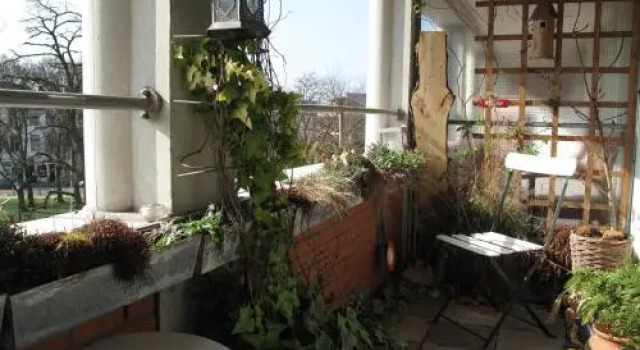 Treetop Apartment, Book Apartment The Hague 