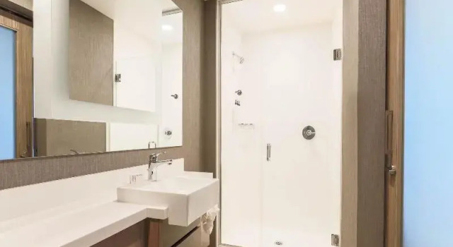 Двухместный люкс c 1 комнатой SpringHill Suites by Marriott San Jose Fremont