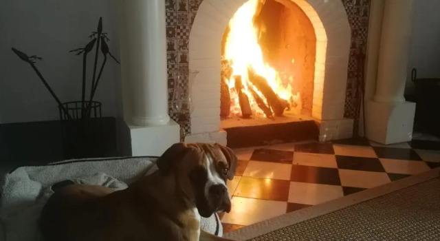 Коттедж La Casa Grande de Zujaira
