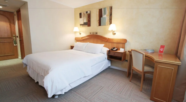 Двухместный номер Standard Hotel Torremayor Lyon